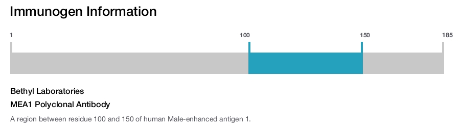 MEA1 Polyclonal Antibody