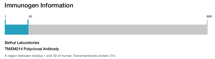 TMEM214 Polyclonal Antibody