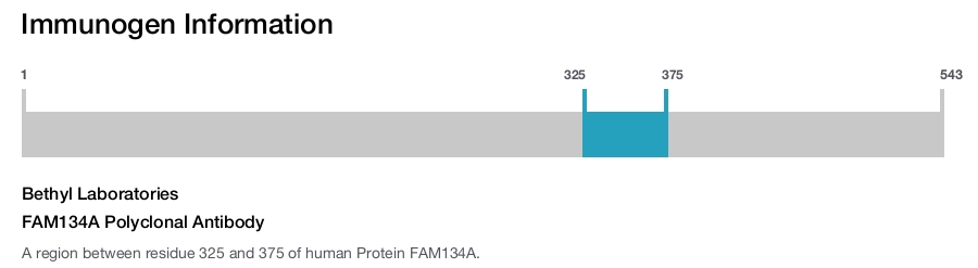 FAM134A Polyclonal Antibody