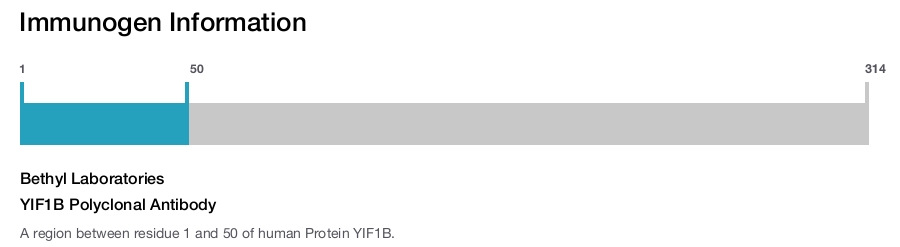 YIF1B Polyclonal Antibody
