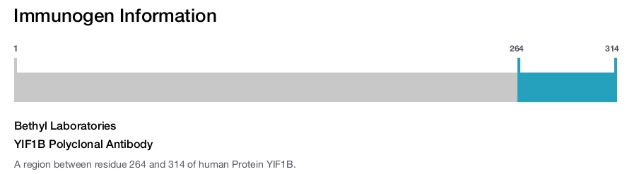 YIF1B Polyclonal Antibody
