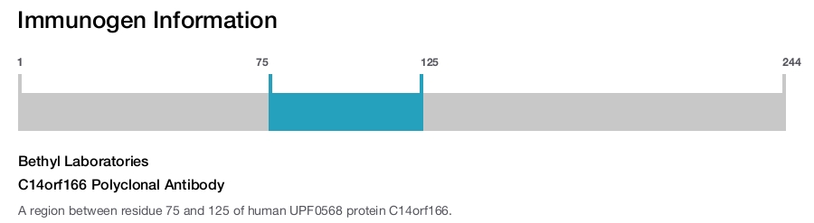 C14orf166 Polyclonal Antibody