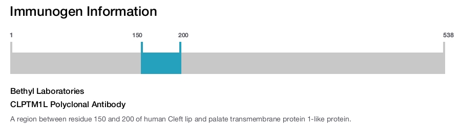 CLPTM1L Polyclonal Antibody