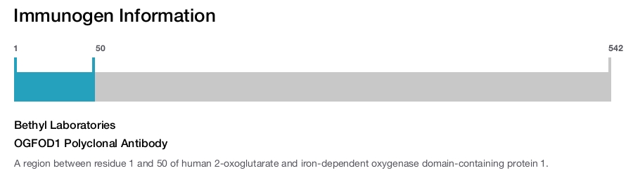 OGFOD1 Polyclonal Antibody