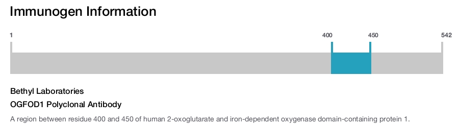 OGFOD1 Polyclonal Antibody