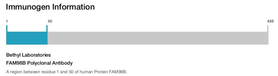 FAM98B Polyclonal Antibody