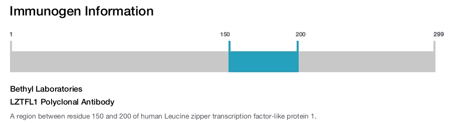 LZTFL1 Polyclonal Antibody