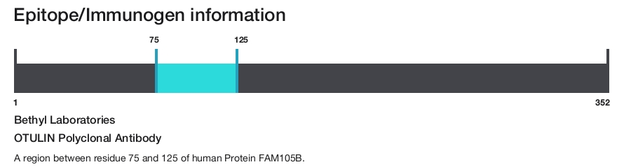 OTULIN Polyclonal Antibody