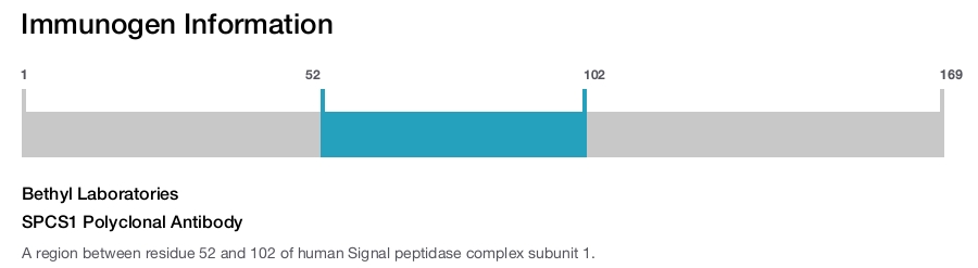 SPCS1 Polyclonal Antibody