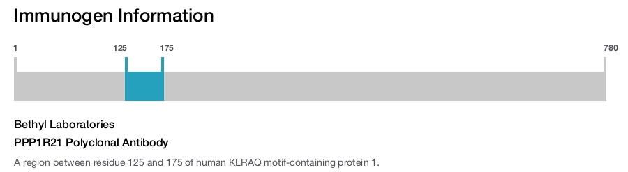 PPP1R21 Polyclonal Antibody