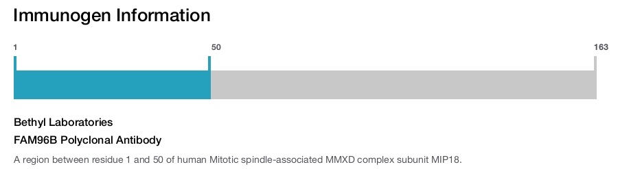FAM96B Polyclonal Antibody