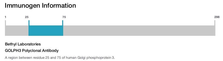 GOLPH3 Polyclonal Antibody