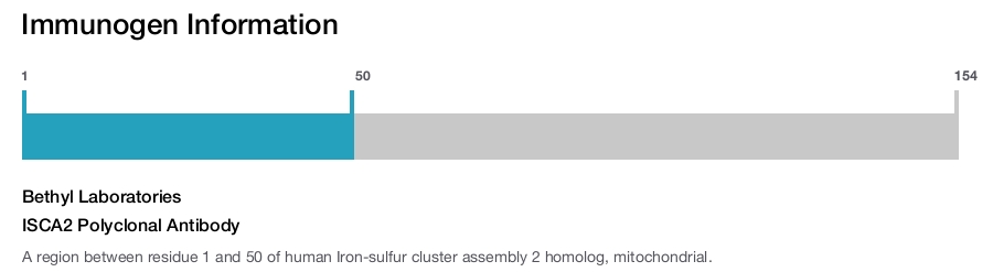 ISCA2 Polyclonal Antibody