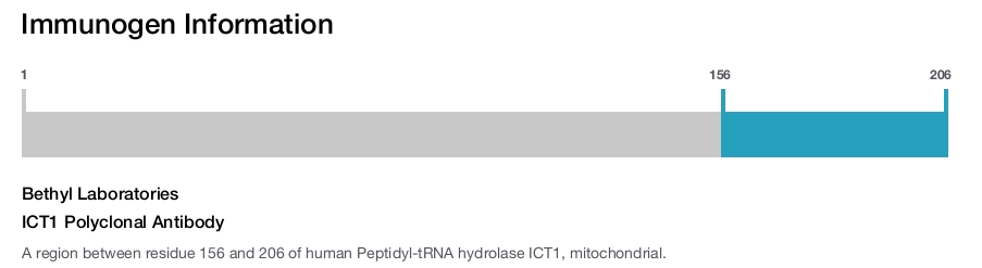 ICT1 Polyclonal Antibody