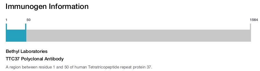 TTC37 Polyclonal Antibody