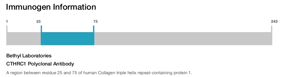 CTHRC1 Polyclonal Antibody