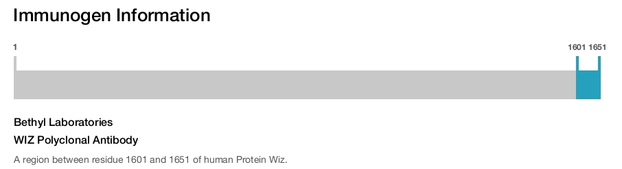 WIZ Polyclonal Antibody