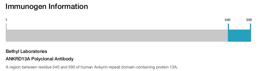 ANKRD13A Polyclonal Antibody