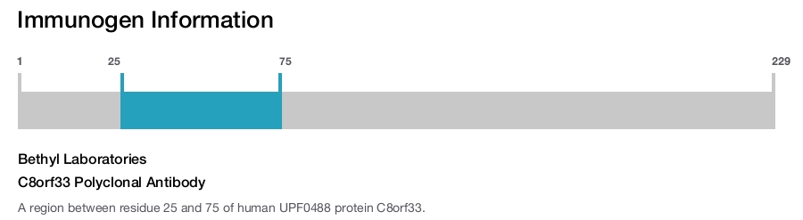 C8orf33 Polyclonal Antibody