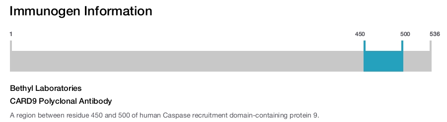 CARD9 Polyclonal Antibody