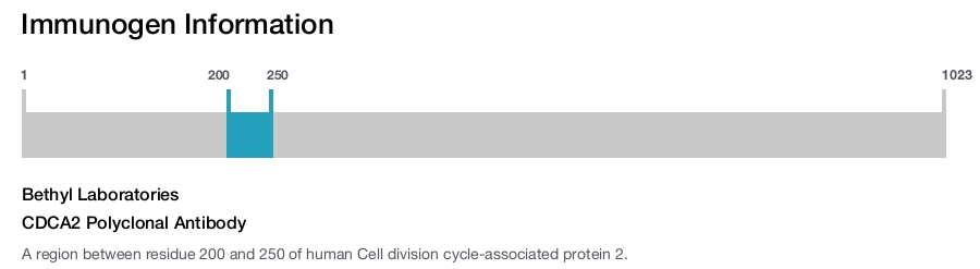 CDCA2 Polyclonal Antibody