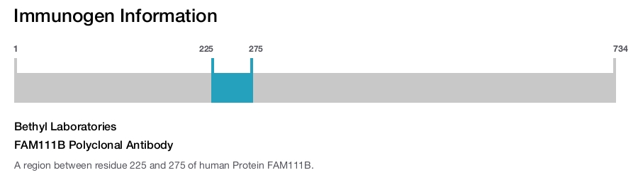 FAM111B Polyclonal Antibody