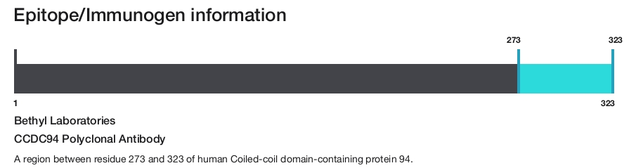 CCDC94 Polyclonal Antibody