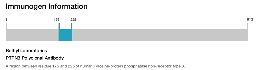 PTPN3 Polyclonal Antibody