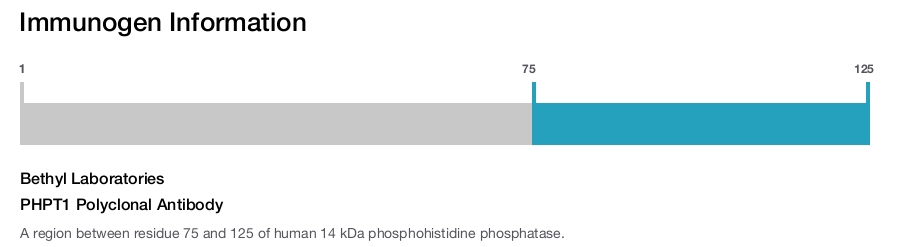 PHPT1 Polyclonal Antibody