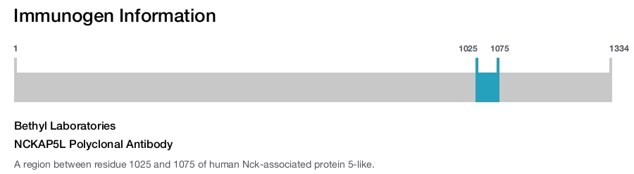 NCKAP5L Polyclonal Antibody