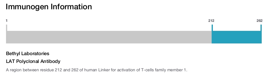 LAT Polyclonal Antibody