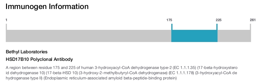 HSD17B10 Polyclonal Antibody