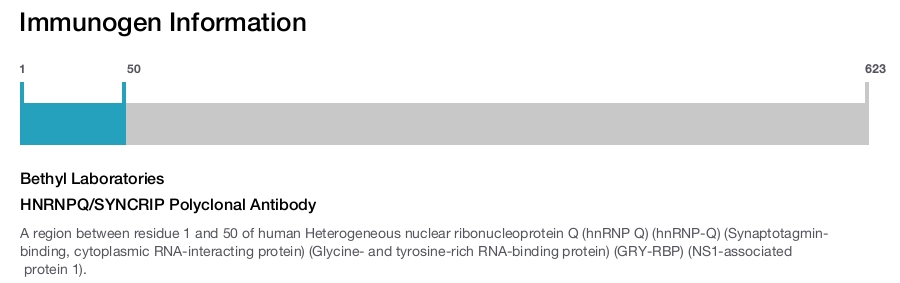 HNRNPQ/SYNCRIP Polyclonal Antibody