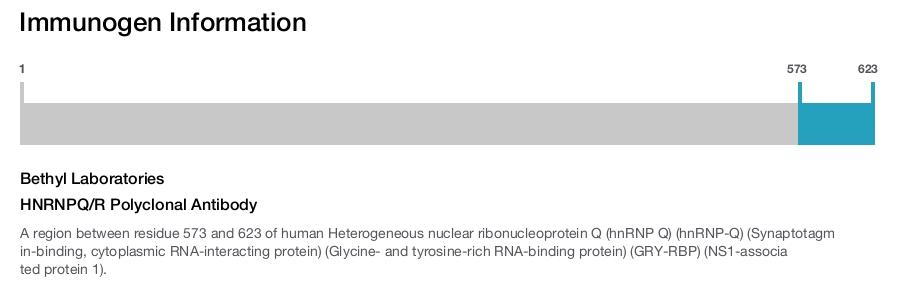 HNRNPQ/R Polyclonal Antibody