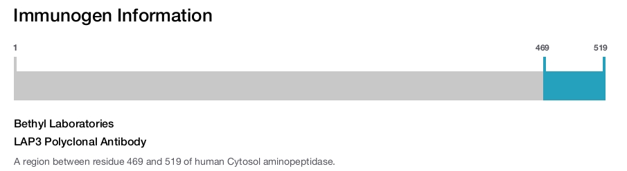 LAP3 Polyclonal Antibody