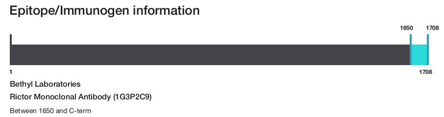 Rictor Monoclonal Antibody (1G3P2C9)
