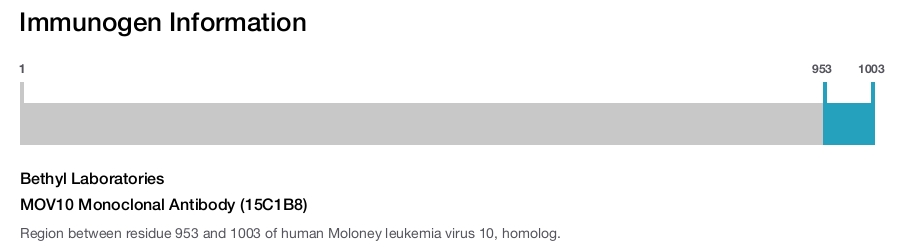 MOV10 Monoclonal Antibody (15C1B8)