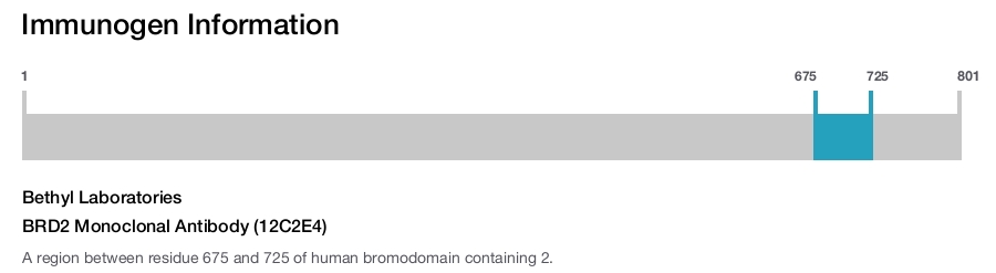 BRD2 Monoclonal Antibody (12C2E4)