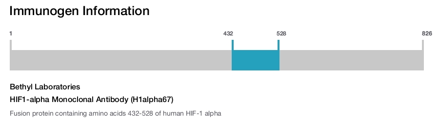 HIF1-alpha Monoclonal Antibody (H1alpha67)