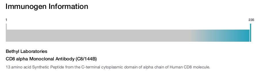 CD8 alpha Monoclonal Antibody (C8/144B)