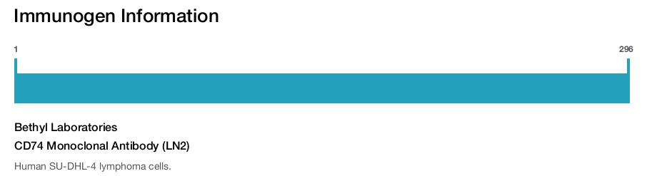 CD74 Monoclonal Antibody (LN2)