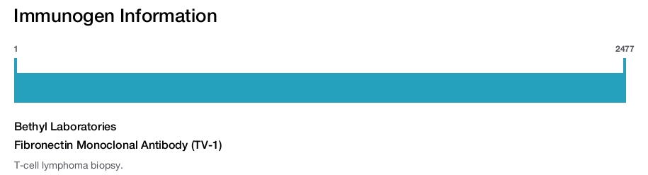 Fibronectin Monoclonal Antibody (TV-1)