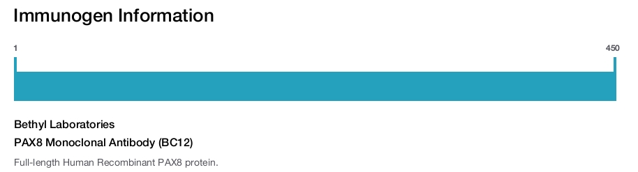 PAX8 Monoclonal Antibody (BC12)