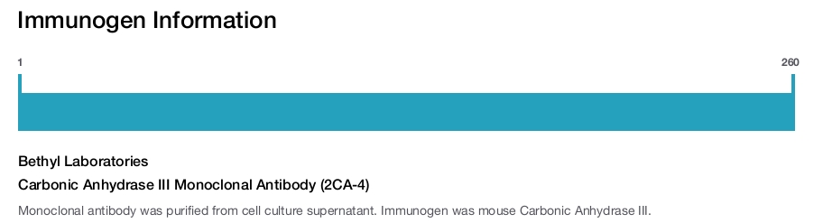 Carbonic Anhydrase III Monoclonal Antibody (2CA-4)