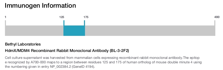HdmX/MDM4 Recombinant Rabbit Monoclonal Antibody (BL-3-2F2)