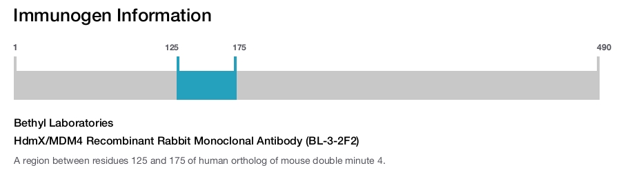 HdmX/MDM4 Recombinant Rabbit Monoclonal Antibody (BL-3-2F2)
