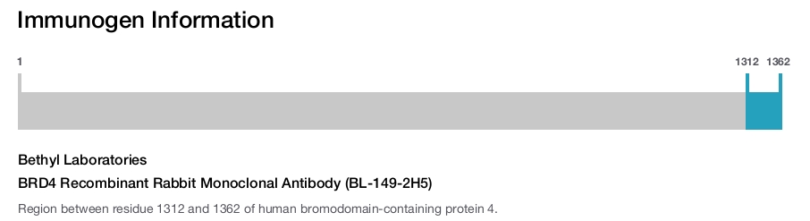 BRD4 Recombinant Rabbit Monoclonal Antibody (BL-149-2H5)