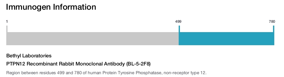PTPN12 Recombinant Rabbit Monoclonal Antibody (BL-5-2F8)