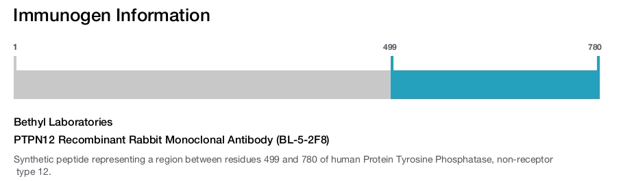 PTPN12 Recombinant Rabbit Monoclonal Antibody (BL-5-2F8)