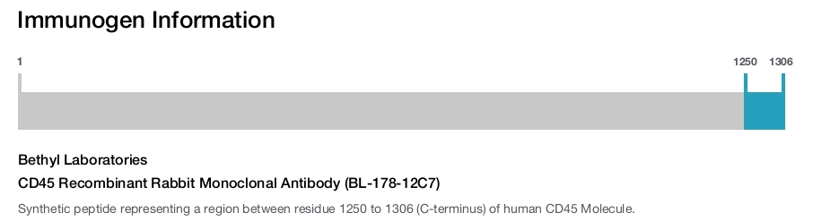 CD45 Recombinant Rabbit Monoclonal Antibody (BL-178-12C7)